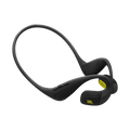 JBL Endurance Pace